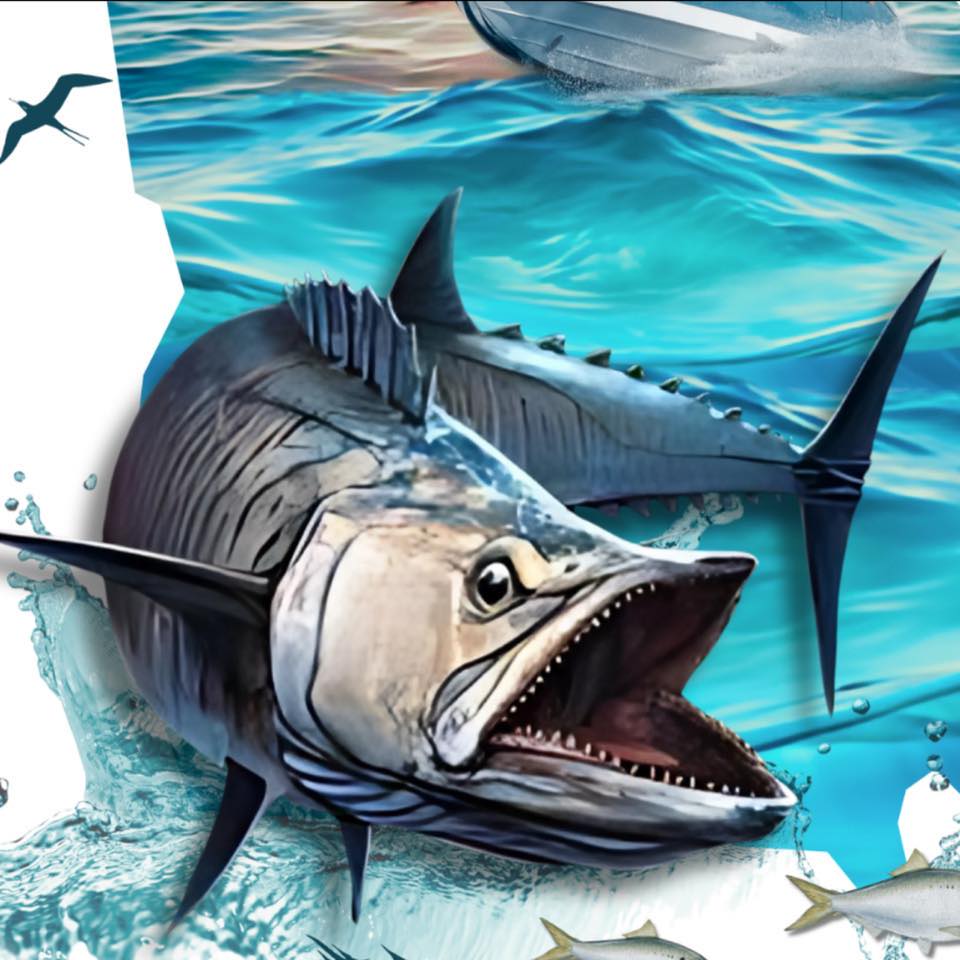 498127803 122292438494003326 5743529844377912260 n